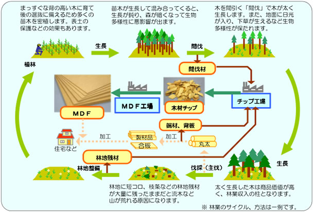 エコイラスト